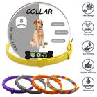 Retractable Dog Collar 8 Month Protection Pet Supplies Cat Necklace  Corgi