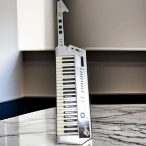 Casio CTK-900 60 Keyboard Synthesizer End-of-Production items Shipped from Japan - Bild 1 von 8