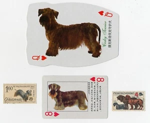 CESKY TERRIER COLLECTION OF VINTAGE DOG SINGLE PLAYING CARDS & STAMPS - Picture 1 of 1