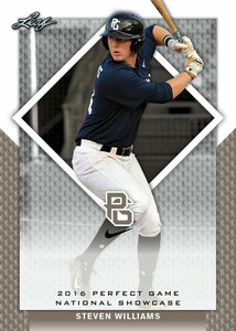 "RARE BLANK BACK PROOF" - STEVEN WILLIAMS 2016 LEAF "PERFECT GAME" ROOKIE CARD!