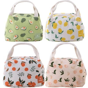 Kinder Kinder Erwachsene Brotzeitbeutel Obst Isoliert Kühltasche Schule Brotzeittasche Box - Bild 1 von 20