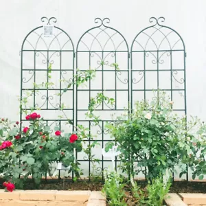 4-Pack Rustproof Metal Garden Trellis for Climbing Plants,Outdoor Flower Support - Picture 1 of 6