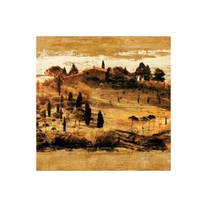 Stampa su Tela su Carta Poster o Quadro Floyd Colin Tuscan Countryside II - Imagen 1 de 2