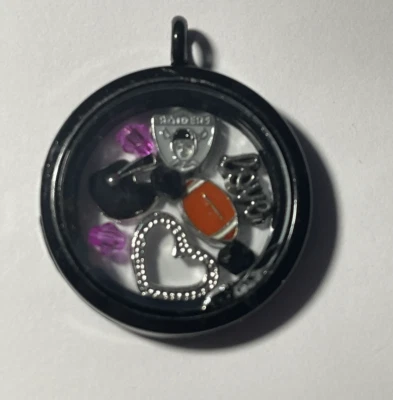 拉斯维加斯突袭者队 NFL 记忆小饰品吊坠 带 22 英寸链条 全新 — 第 1/3 张图片