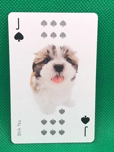 Shih Tzu Spade J THE DOG Playing card  Artlist Collection Japan - Picture 1 of 2