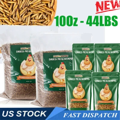 LUCKYQ Non-GMO Bulk Dried Mealworms Fit Birds Chickens Wild Blue Bird Reptile 11LBS LOT