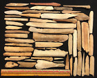 50+High Plains / South Dakota  Mandan/Arikara Worked  Bone pieces