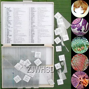 100pcs Glass Prepared Basic Science Microscope Slides Sample Biology Pathology - Picture 1 of 11