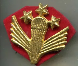 Afghanistan Paratrooper Badge RS 2 Double Splint (3) - Picture 1 of 2