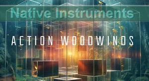 Native Instruments VST *** Action Woodwinds Symphonic - Bild 1 von 1