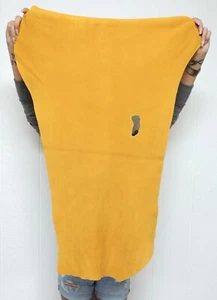 GOLD Deerskin Leather Hide for Native Crafts Buckskin Taxidermy Antler Mount - Picture 1 of 2