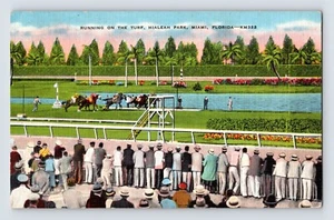 Postcard Florida Miami FL Hialeah Horse Racing 1940s Unposted Linen - Picture 1 of 2