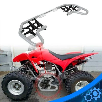 Barras Nerf para Honda TRX 250EX 250X 2001-2024 barra plateada redes negras 220 T1 BB Foto 1 de 4