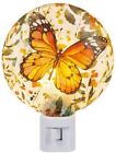 Ganz Monarch Butterfly Night-Light, 5-inch Height