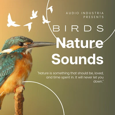 Nature Sounds CD Birds CD Bird Song Sounds Special FX Foley FREE UK P&P - NEW - Image 1 of 4