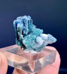 Indicolith blauer Turmalin Kristall aus Afghanistan - 30 Karat - Bild 1 von 5