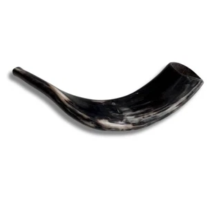 Shofar cuerno de carnero pulido kosher de Israel Jerusalén 14′′-16′′ / 35 cm - 40 cm - Imagen 1 de 3