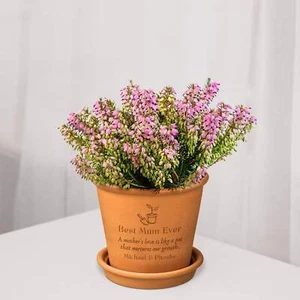 Custom Engraved Mother/ Father's Day Terracotta Plant Pot & Saucer - Picture 1 of 10