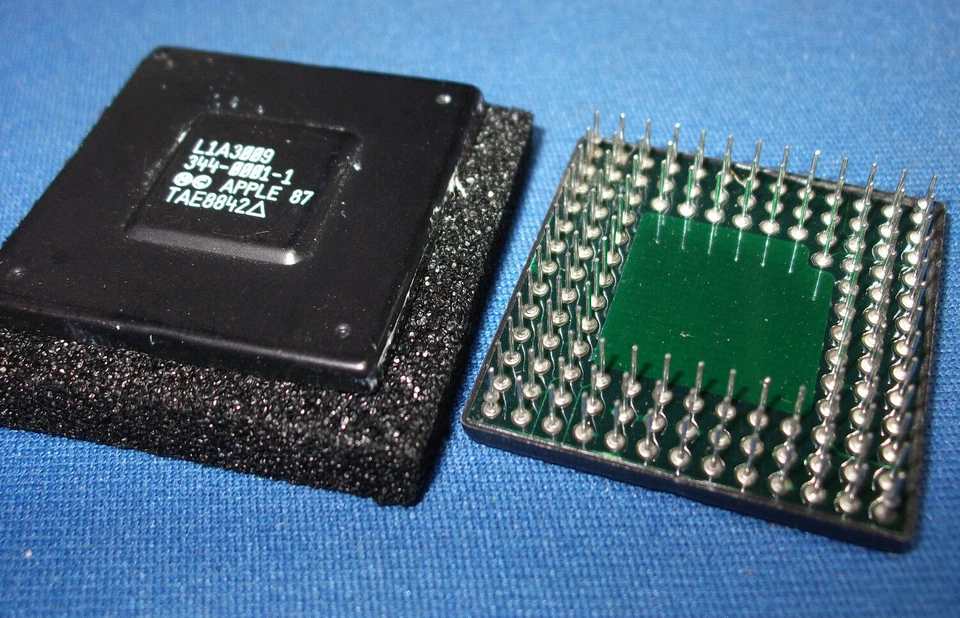 L1A3009 LSI LOGIC "APPLE" 344-0001-1 VINTAGE PGA L1A-3009 RARE COLLECTIBLE QTY-1 - Image 1 of 1