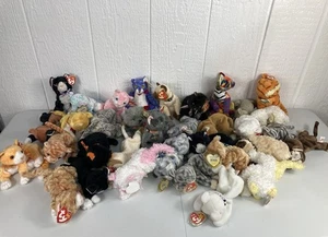 Ty Beanie Babys Katze Paket 34 1993-2004 nicht mehr produziert mit Hängeetiketten - Bild 1 von 10