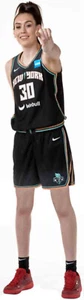 BREANNA STEWART New York Liberty WNBA 2024 CHAMPIONS - WindowCling StickOn Decal - Picture 1 of 1