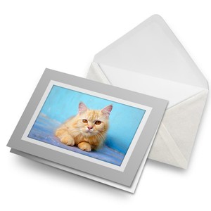Greetings Card (Grey) - Adorable Ginger Tom Cat Amber Eyes  #16880