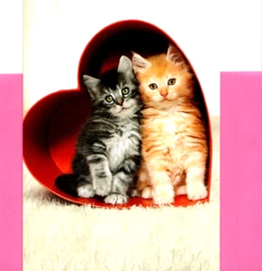 Happy Valentine's Day Hugs & Kitten Kittens Red Candy Heart Box Greeting Card - Picture 1 of 3
