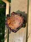 burl wood slab, burl, wood, woodturning wood, tabletop, tree branch