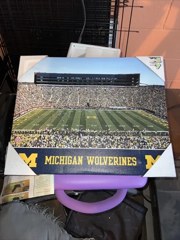 Michigan Wolverines Big House Wall Picture Cover