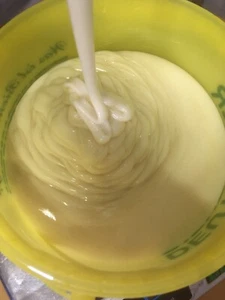 Cremige 2,5 Kg. Raps Honig Imker aus Bayern Rapshonig - Bild 1 von 4