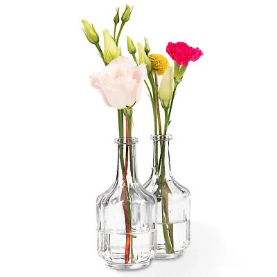 15 Stück kleine Vintage Vasen Blumen Tisch Vase Väschen Set Deko Glas Flasche - Bild 1 von 4