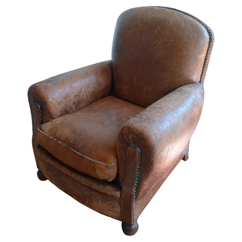 Club Chair of Alligator Leather from France, circa 1930s Cover