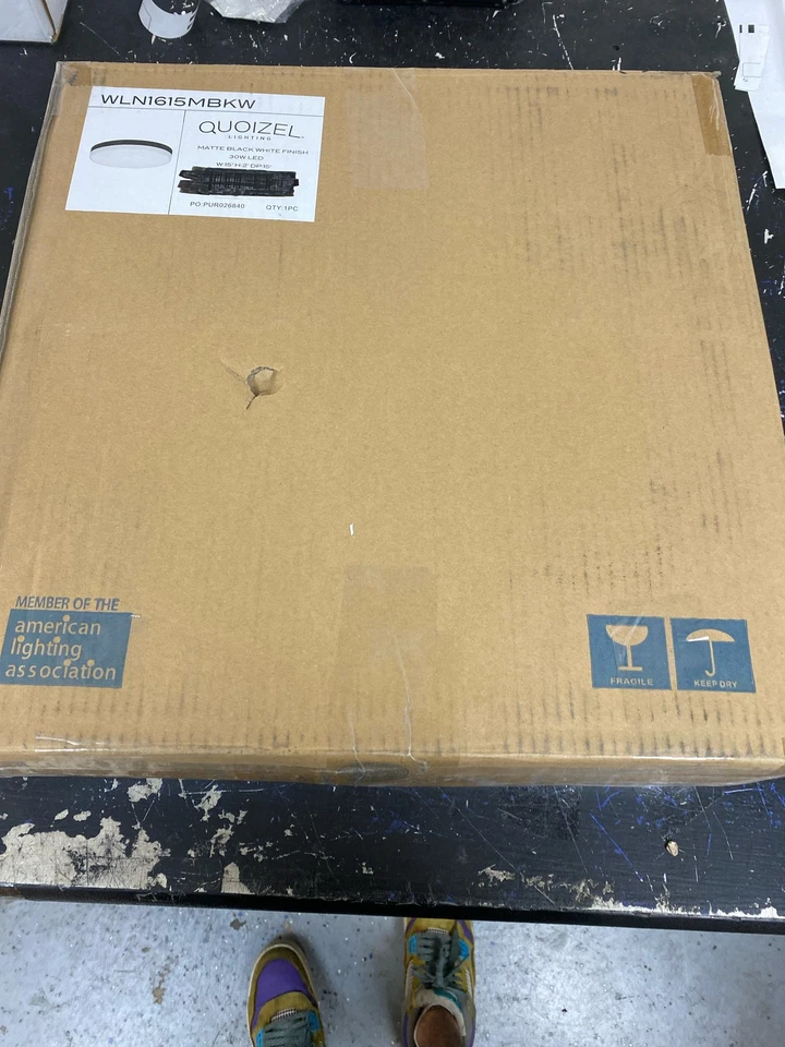 Quoizel WLN1615MBKW Weldin Flush Mount, 1-Light Integrated LED,Matte 黑色 白色 — 第 1/1 张图片