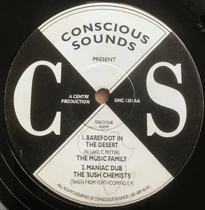 LONG LONG TIME KING GENERAL AND CENTRY RARE 12'' UK ROOTS DUB CONSCIOUS SOUNDS M - Picture 1 of 2