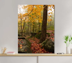 Colorful Autumn Morning 5mm thick Plastic Poster Ready to Hang 45x60cm - Picture 1 of 3