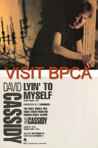 David Cassidy (von der Rebhuhnfamilie) Werbe-Postkarte LYIN' TO MYSELF - Bild 1 von 1