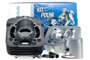 Gruppo termico Polini 140.0181 47mm per Piaggio Free Zip LIBERTY 2T Diesis Sfera - Foto 1 di 3