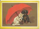 LOVELY RARE MODERN FRANCE POSTCARD,CUTE CAT,DOG,PUPPY,UMBRELLA,IDEAL TO FRAME