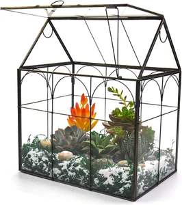 Large Tall Plant Greenhouse Terrarium Glass with Lid, 8.7"X5.9"X10.6" Inches Ind - Picture 1 of 12