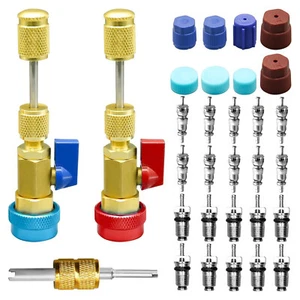 31Pcs R134A High Low Pressure AC Valve Core Removal Tool w/R134A Valve Core N8K4 - Picture 1 of 12
