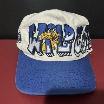 Sombrero Drew Pearson DE COLECCIÓN AÑOS 90 KENTUCKY WILDCATS GRAFFITI Top Of World Foto 1 de 4