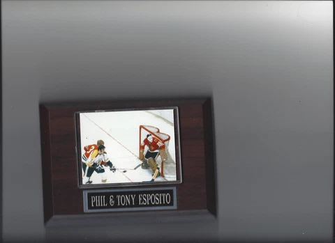 PHIL ESPOSITO & TONY ESPOSITO PLAQUE BOSTON BRUINS HOCKEY NHL CHICAGO BLACKHAWKS Cover