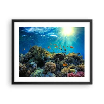 Wandbilder 50x40cm Poster Korallenriff Ozean Maritim Wandposter Bilder Wanddeko - Bild 1 von 4
