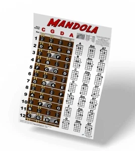 Mandola Chord Fretboard Instructional Wall Chart Poster Notes Chords - Picture 1 of 7