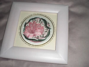 MILLENNIUM YEAR 2000 EMBROIDERY FLOWERS FIONA DRAKE FOR EKARD LILAC FRAME - Picture 1 of 4