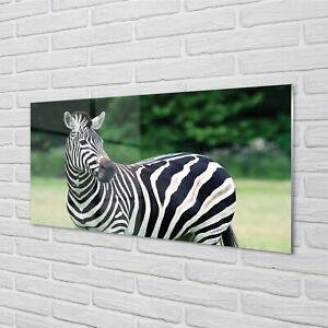 Tulup Acrylic Print 140x70 Wall Art Picture Zebra box