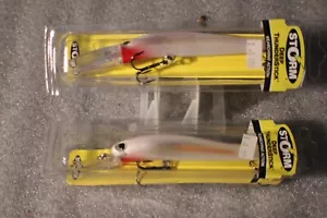 2 STORM RAPALA DEEP THUNDERSTICK ORIGINAL SERIE DAJM 565 GHOST NEU IN BOXEN - Bild 1 von 1