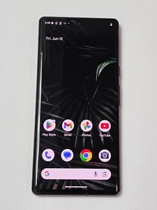 Google Pixel 6 Pro - 128 GB - Stormy Black (Unlocked) G8V0U USED/SCREEN BURN - Afbeelding 1 van 13