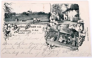 #11 Original AK Freinberg Biergarten Oberösterreich 12.6.1903 - Bild 1 von 2