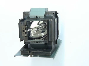 OPTOMA EH415 Original inside lamp - Replaces DE.5811118924-SOT / BL-FP280J - Photo 1/1